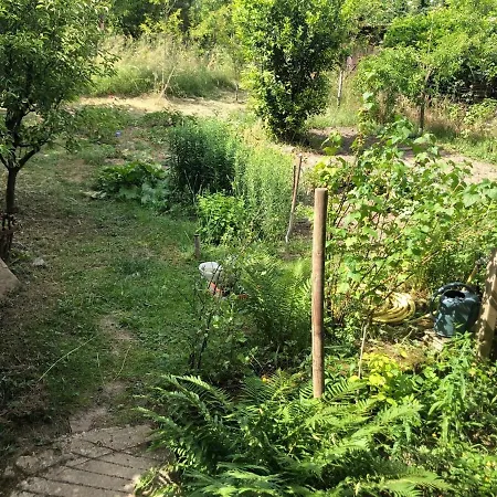 Du Ried Vakantiehuis Bischwiller