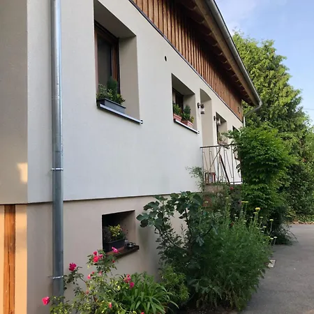 Du Ried Dom wakacyjny