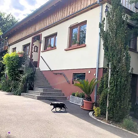 Du Ried * Bischwiller