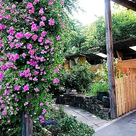 Ferienhaus Du Ried Bischwiller